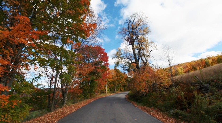 Bovina, NY ESCAPE BROOKLYN