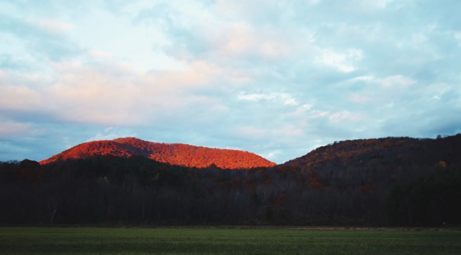Argyle Cabins in Argyle, NY ESCAPE BROOKLYN