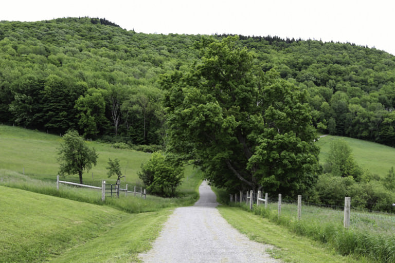 Hermit Thrush Treehouse in West Pawlet, Vermont ESCAPE BROOKLYN