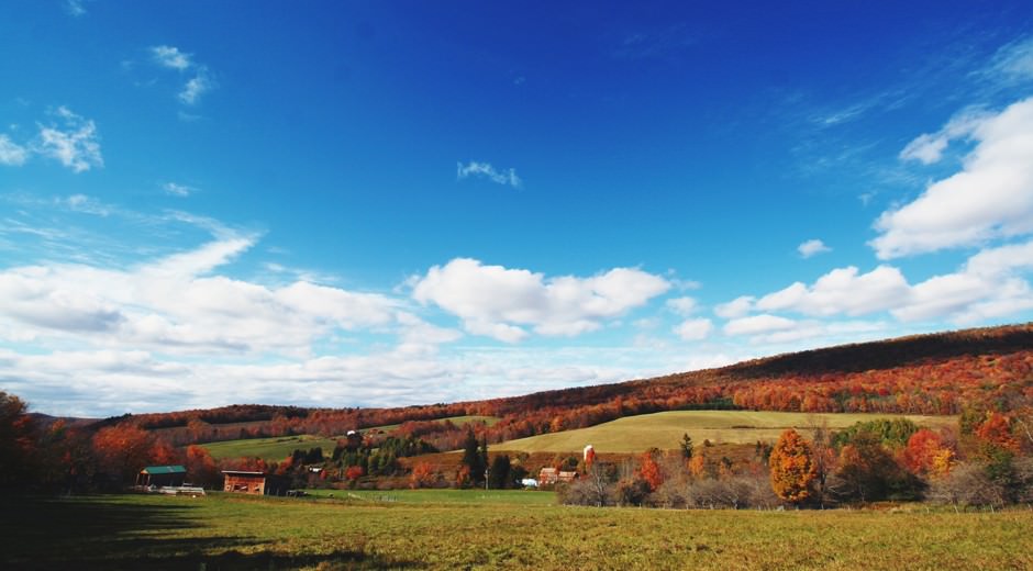 A Guide to Bovina, NY ESCAPE BROOKLYN