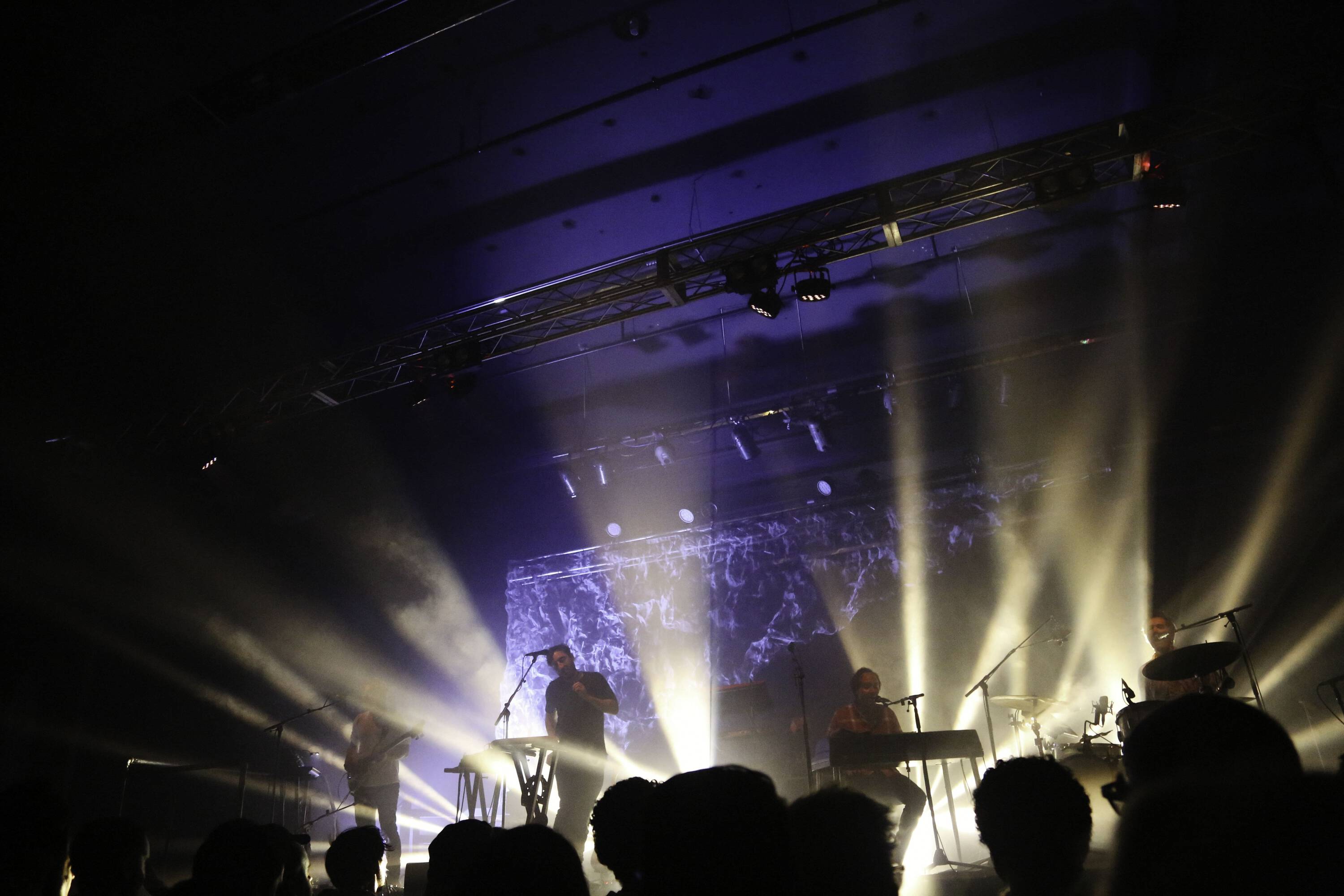 Grizzly Bear in the Catskills – ESCAPE BROOKLYN