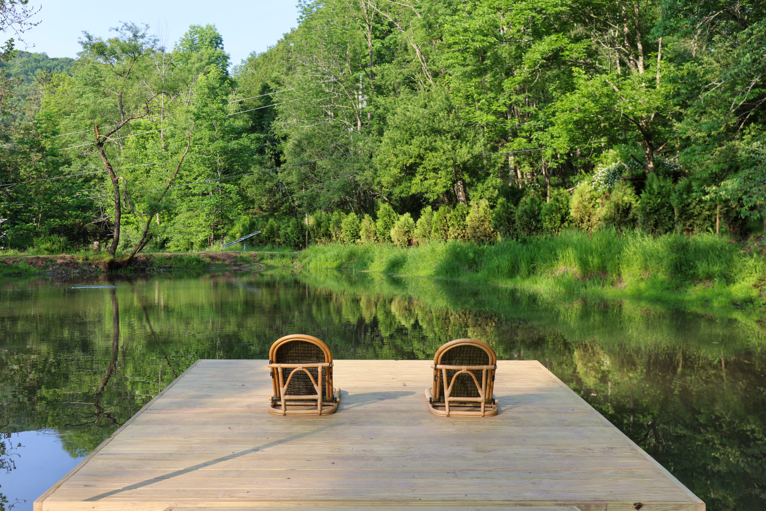 PONDS 4W1A1188