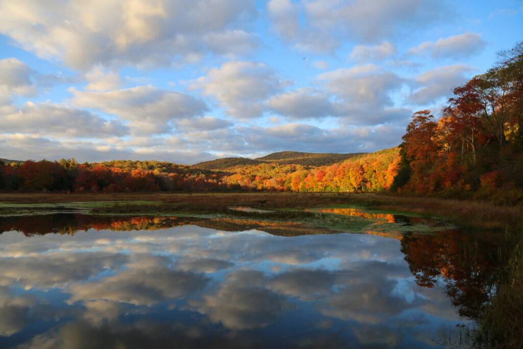 A Guide to Promised Land State Park in the Poconos, PA – ESCAPE BROOKLYN