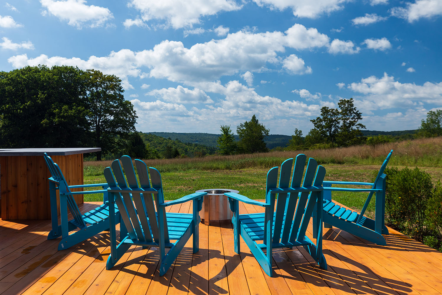 Callicoon, NY home for sale
