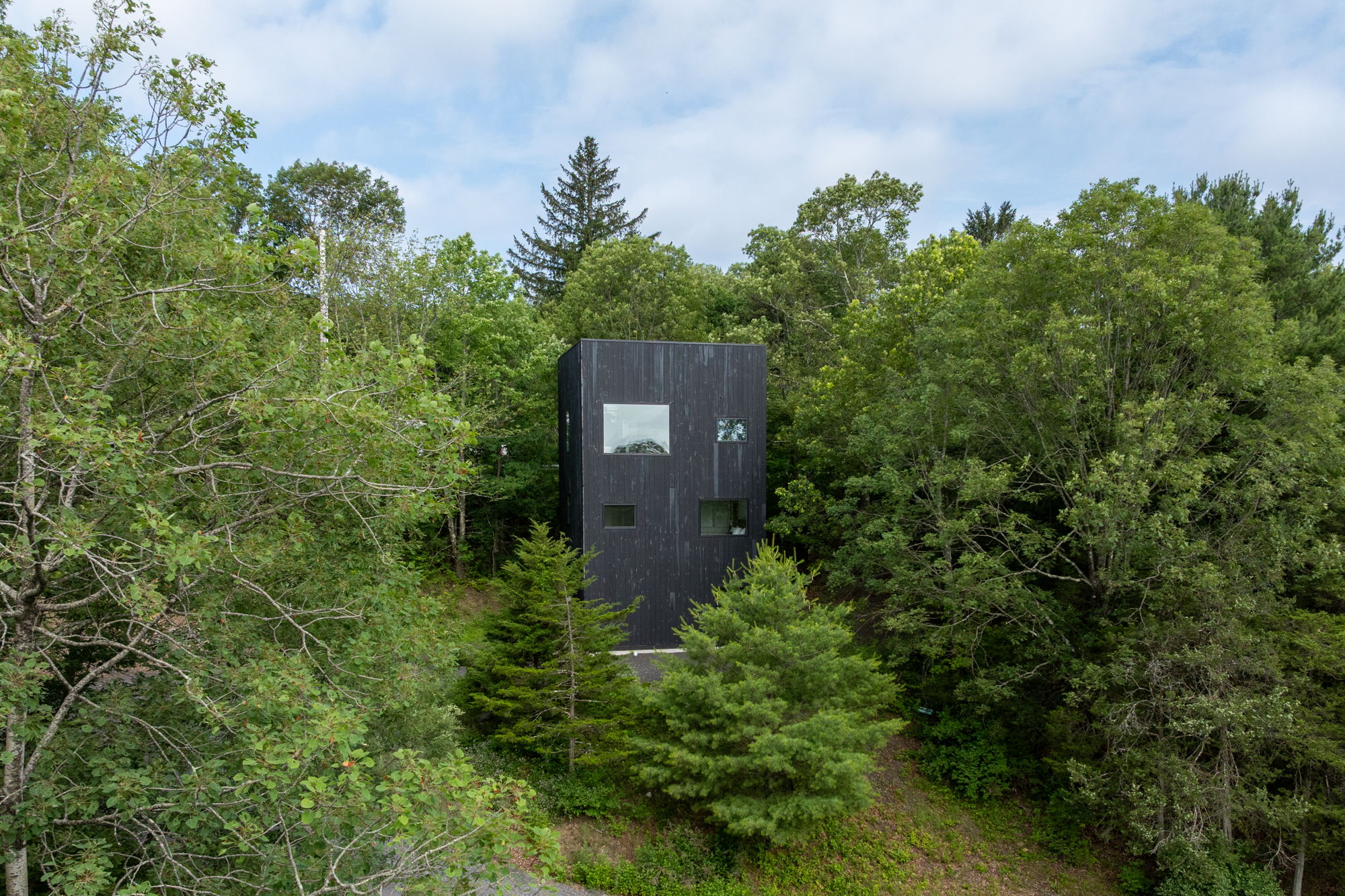 the lookout. drone. with trees ext