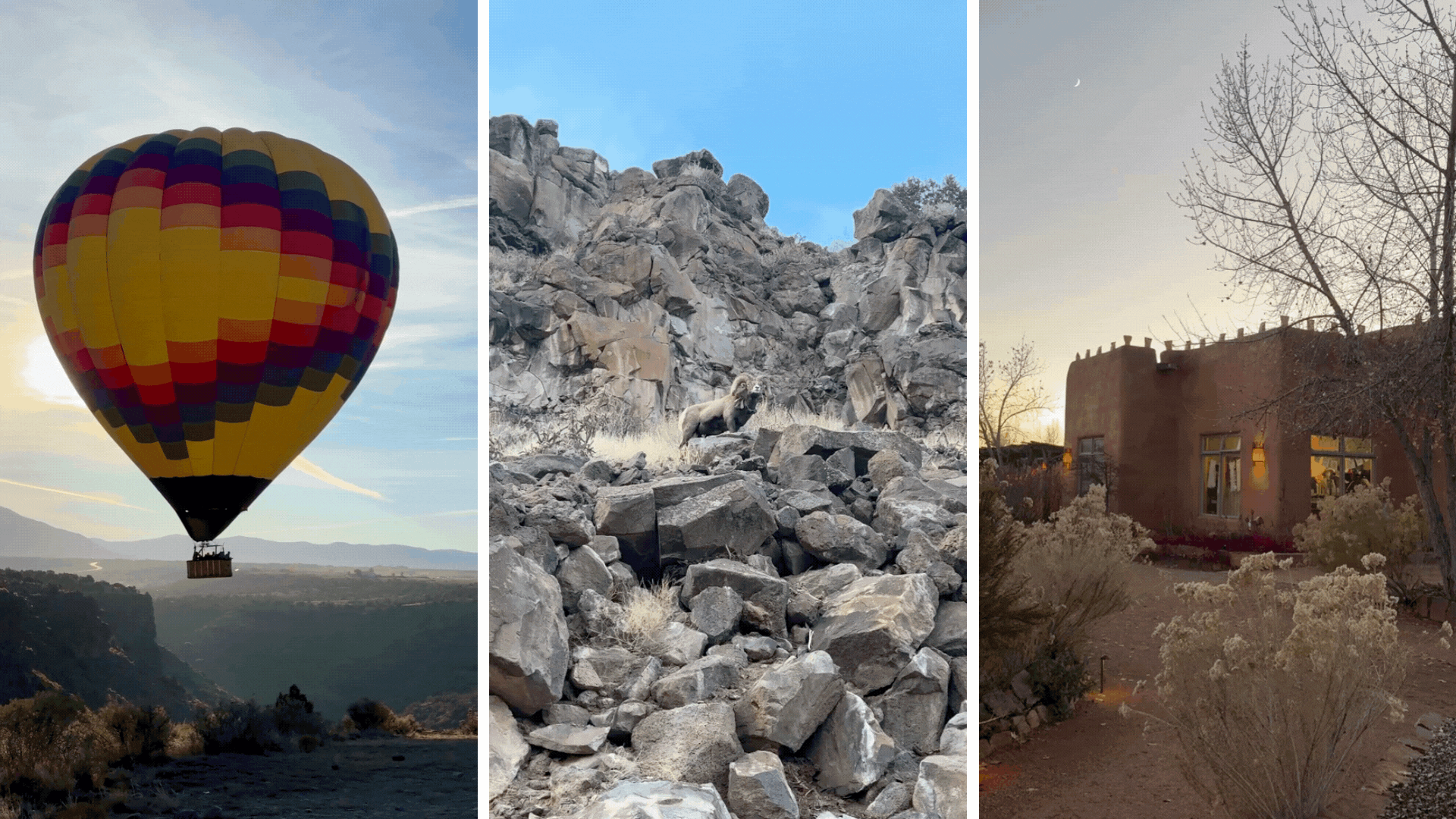 TAOS NM GIF 2 ESCAPE BROOKLYN